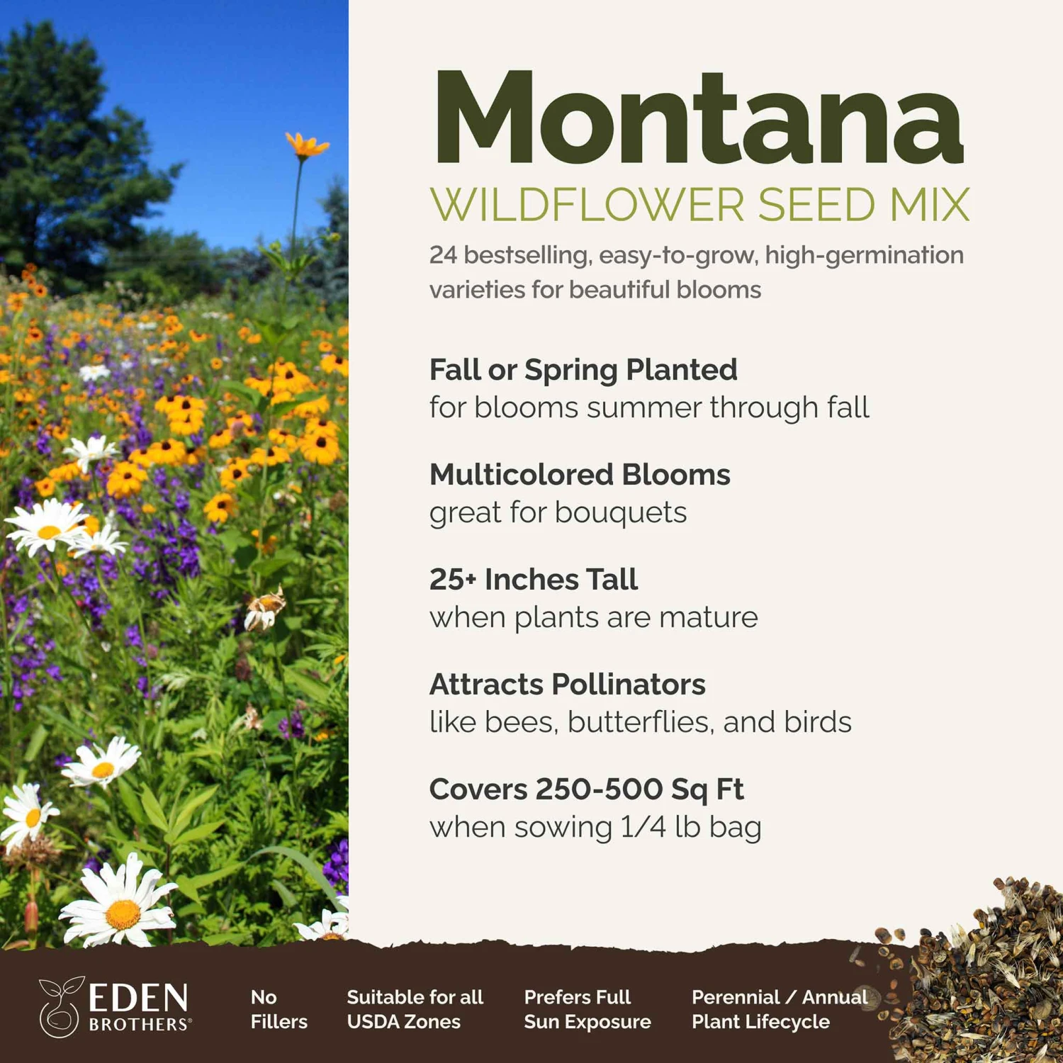 Montana Wildflower Seed Mix 2 Montana Wildflower Seed Mix - Image 2