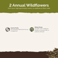 Moon Garden Flower Seed Mix -Eden Brothers Shop moon garden SMSPU120 st2