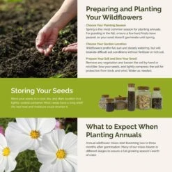 Moon Garden Flower Seed Mix -Eden Brothers Shop moon garden SMSPU120 st5