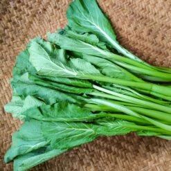 Heirloom Tendergreen Mustard Seeds - Heat-Resistant Spinach Alternative