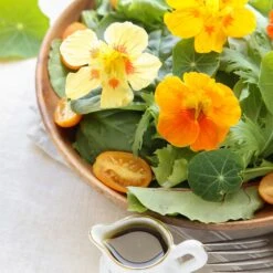 Nasturtium Seeds - Mahogany Gleam -Eden Brothers Shop nasturtium edible flower shk 54dbe801 6f52 4c68 ad85 3b5798e26759