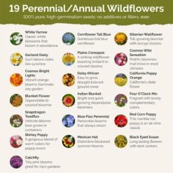 Nevada Wildflower Seed Mix 6 Nevada Wildflower Seed Mix -Eden Brothers Shop nevada SMREG160 st2
