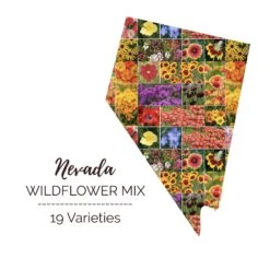 Nevada Wildflower Seed Mix