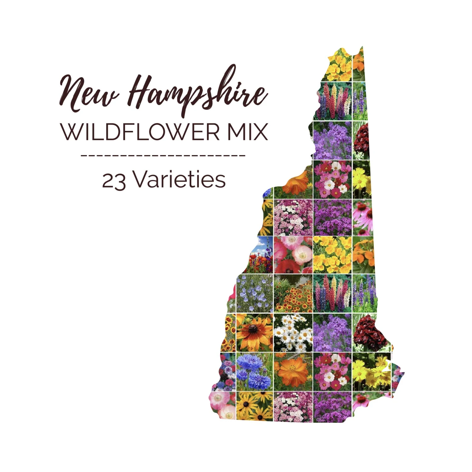 New Hampshire Wildflower Seed Mix 1 New Hampshire Wildflower Seed Mix