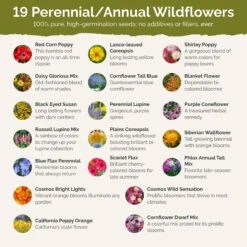 New York Wildflower Seed Mix - Premium Native & Naturalized Blend -Eden Brothers Shop new york SMREG125 st2