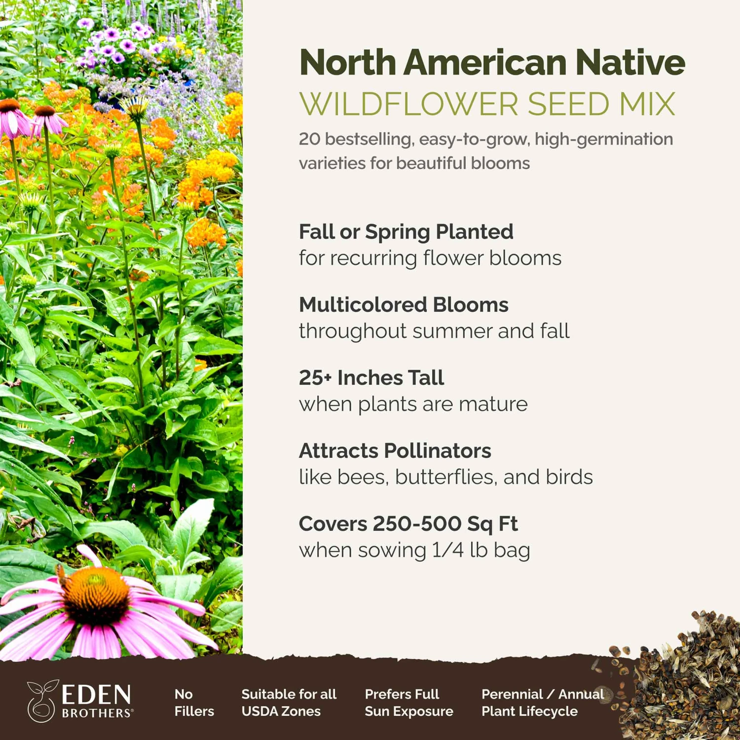 Native Wildflower Seed Mix - 20 North American Species for All Regions 2 Native Wildflower Seed Mix - 20 North American Species for All Regions - Image 2
