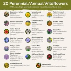 Native Wildflower Seed Mix - 20 North American Species for All Regions 6 Native Wildflower Seed Mix - 20 North American Species for All Regions -Eden Brothers Shop north american native SMCAT114 st2