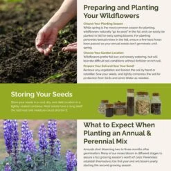 Native Wildflower Seed Mix - 20 North American Species for All Regions 7 Native Wildflower Seed Mix - 20 North American Species for All Regions -Eden Brothers Shop north american native SMCAT114 st5