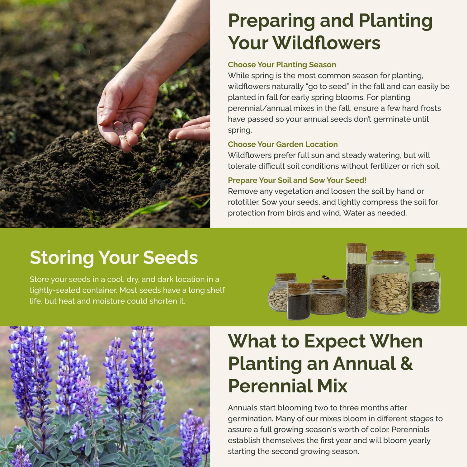 Native Wildflower Seed Mix - 20 North American Species for All Regions 4 Native Wildflower Seed Mix - 20 North American Species for All Regions - Image 4