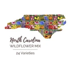 North Carolina Wildflower Seed Mix