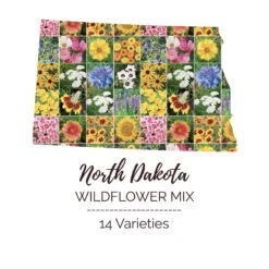 North Dakota Wildflower Seed Mix - 14 Varieties for Resilient Landscapes