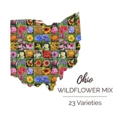 Ohio Wildflower Seed Mix: 23 Vibrant Annual & Perennial Varieties