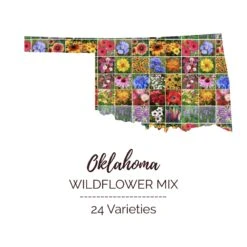 Oklahoma Native Wildflower Seed Mix - Annual & Perennial Pollinator Blend