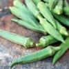 Emerald Heirloom Okra Seeds - Fast-Growing & High-Yield Vegetable Seeds