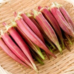 Heirloom Jing Orange Okra Seeds - Vibrant Red-Orange Pods