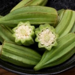 Star of David Heirloom Okra Seeds - High-Yielding Vegetable Garden Seeds