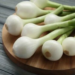Crystal White Wax Pearl Onion Seeds for Pickling and Gourmet Cooking