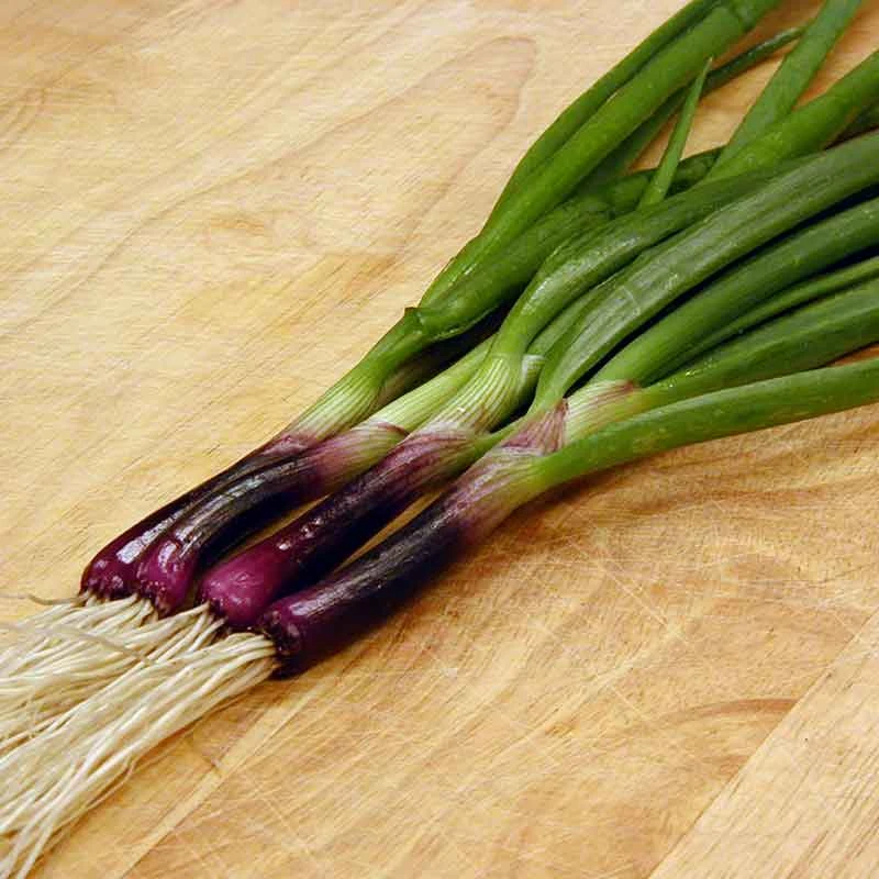 Onion Seeds (Bunching) - Red Baron Bunching 1 Onion Seeds (Bunching) - Red Baron Bunching