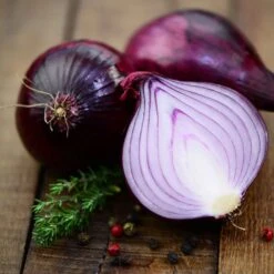 Red Carpet Long Day Red Onion Seeds - High-Yield Storage Variety