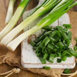 Onion Seeds (Bunching) - Tokyo Long White