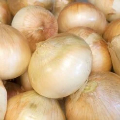 Onion Seeds (Long Day) - Walla Walla Sweet