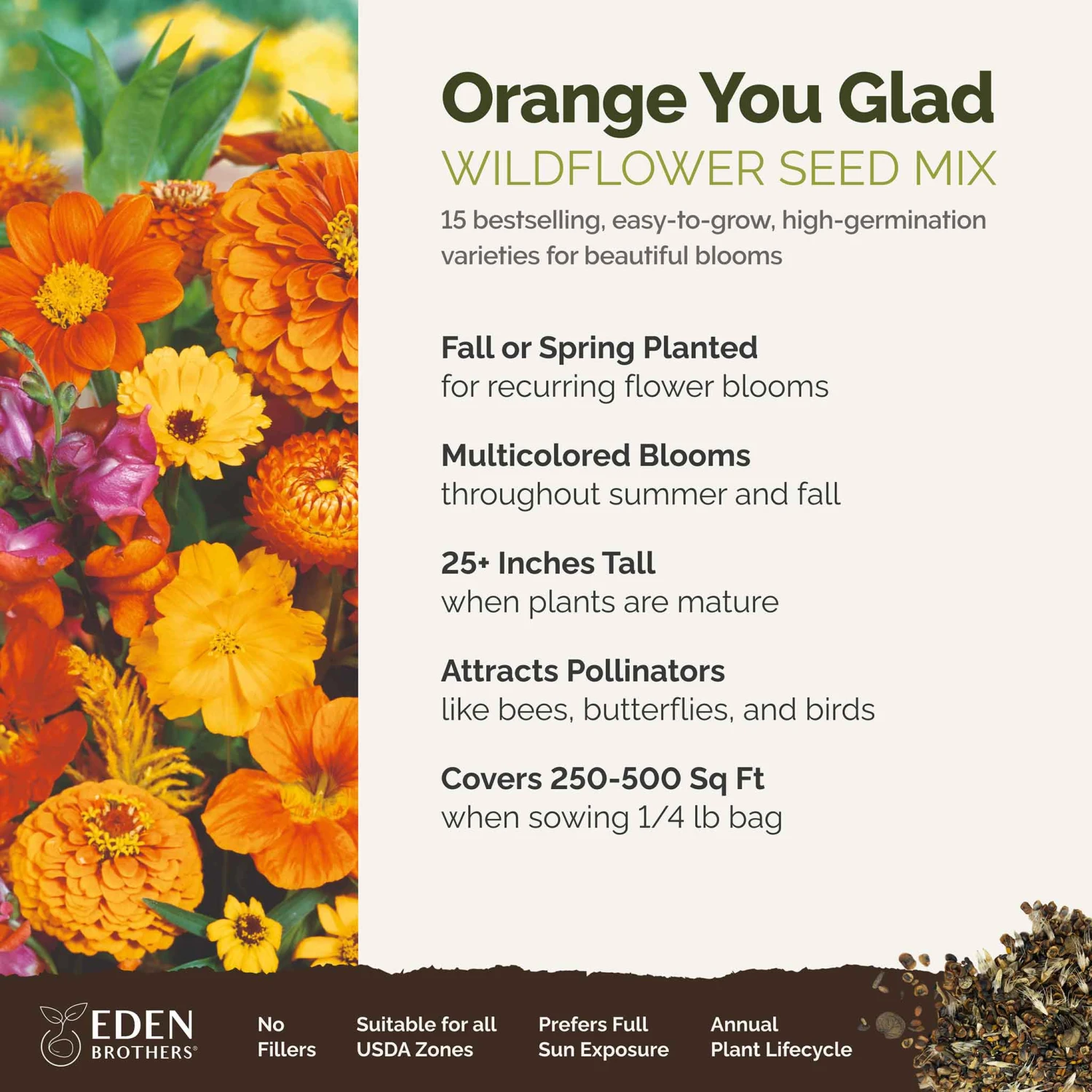 Orange You Glad - Vibrant Orange Annual Wildflower Seed Mix 3 Orange You Glad - Vibrant Orange Annual Wildflower Seed Mix - Image 3