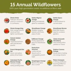 Orange You Glad - Vibrant Orange Annual Wildflower Seed Mix 8 Orange You Glad - Vibrant Orange Annual Wildflower Seed Mix -Eden Brothers Shop orange you glad SMCOL121 st2