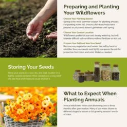 Orange You Glad - Vibrant Orange Annual Wildflower Seed Mix 9 Orange You Glad - Vibrant Orange Annual Wildflower Seed Mix -Eden Brothers Shop orange you glad SMCOL121 st5