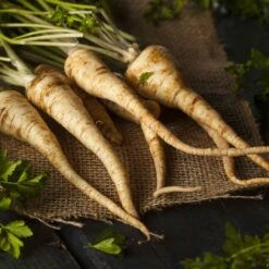 Hamburg Rooted Parsley Seeds - Heirloom Root Vegetable for Soups and Stews