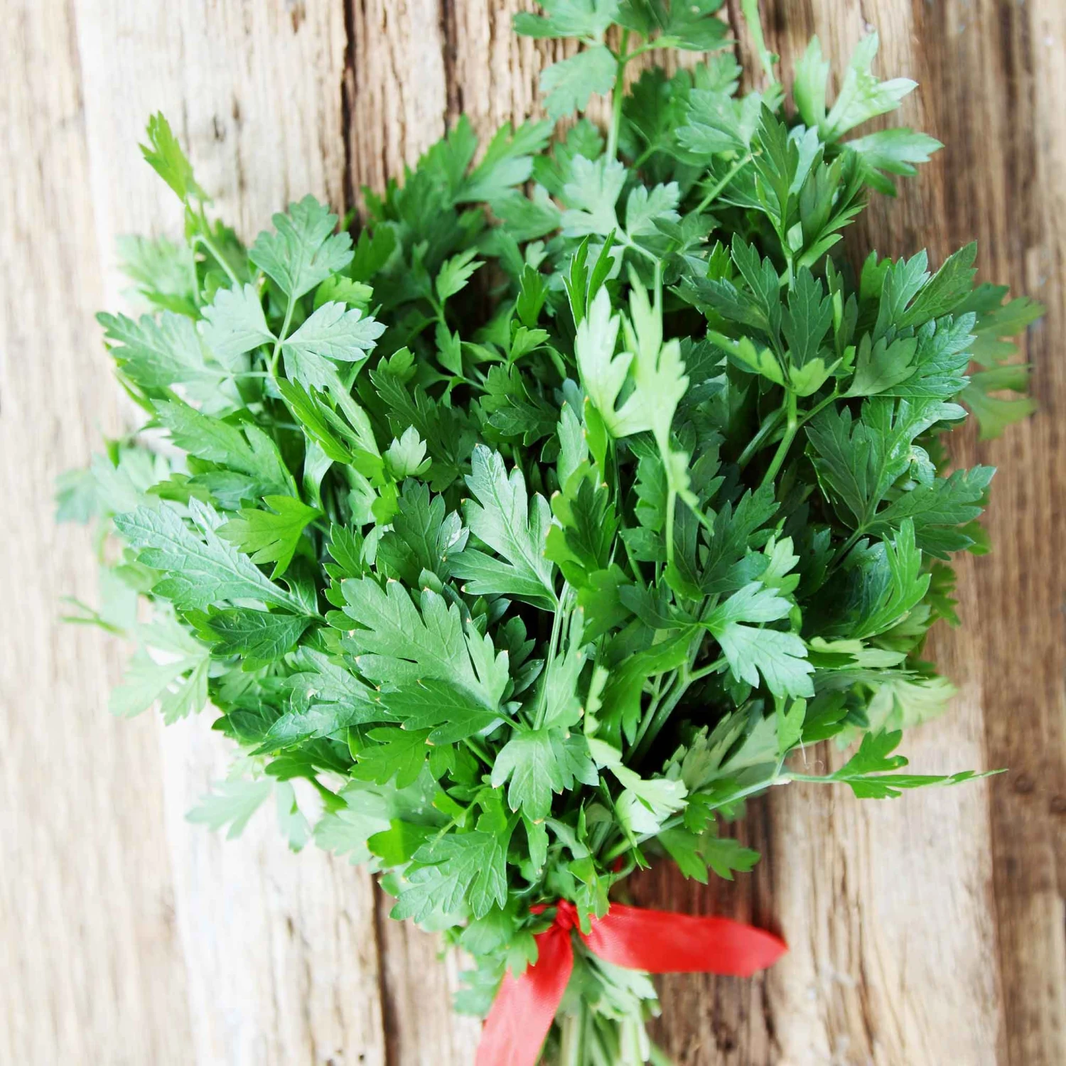 Parsley Seeds - Italian 1 Parsley Seeds - Italian