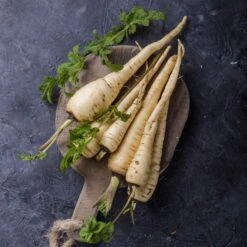 Parsnip Seeds - All-American