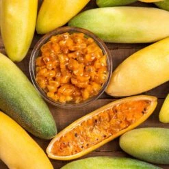 Passiflora Seeds - Banana Passion Fruit -Eden Brothers Shop passiflora banana passion fruit shk 4 eeb76dde fac4 4783 a308 7ed889eb1b2f