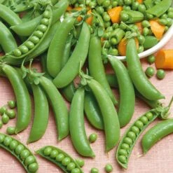 Pea Seeds - Sugar Snap (Snap Pea)