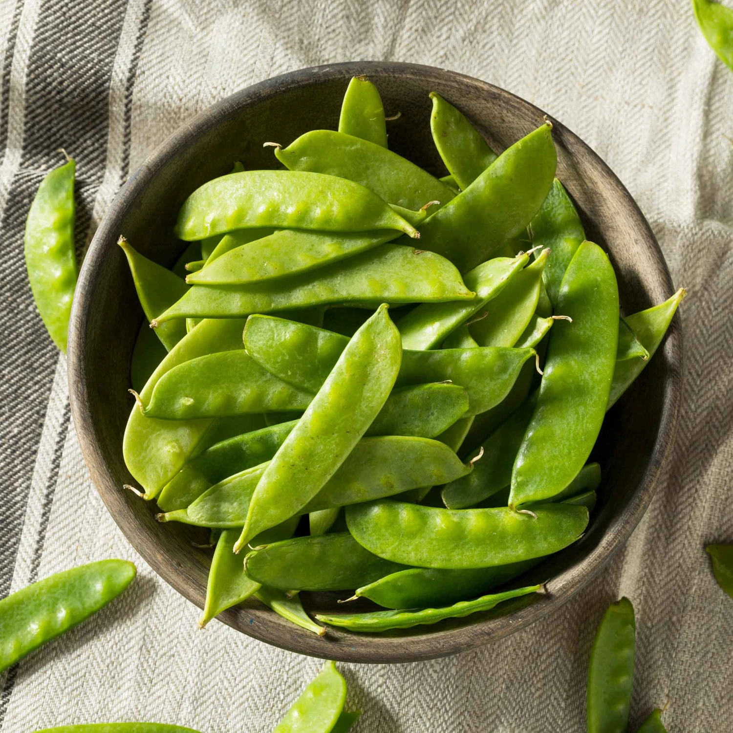 Heirloom Dwarf White Sugar Pea Seeds - Stringless Snow Peas for Small Gardens 1 Heirloom Dwarf White Sugar Pea Seeds - Stringless Snow Peas for Small Gardens