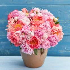 Eden Brothers Shop -Eden Brothers Shop peony pastel mix rit 3