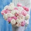 Romantic Peony Roots Mix - Pink & White Fragrant Garden Peonies