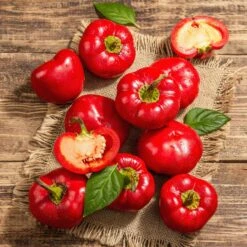 Alma Paprika Sweet Pepper Seeds - Heirloom Garden Vegetable
