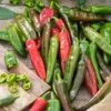 Anaheim Chili Pepper Seeds - Premium Heirloom Hot Pepper for Gardening