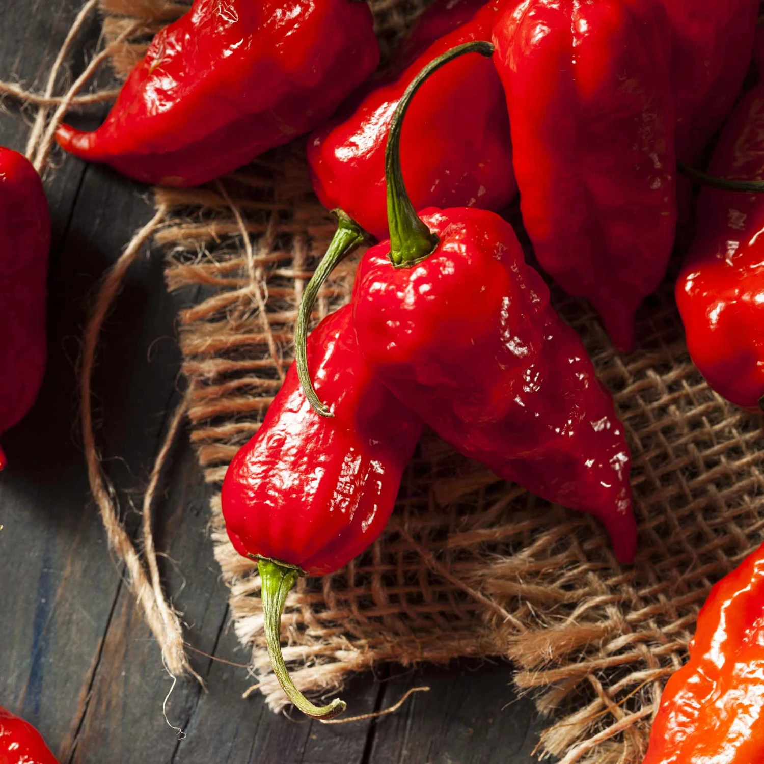 Hot Pepper Seeds - Bhut Jolokia / Ghost 1 Hot Pepper Seeds - Bhut Jolokia / Ghost