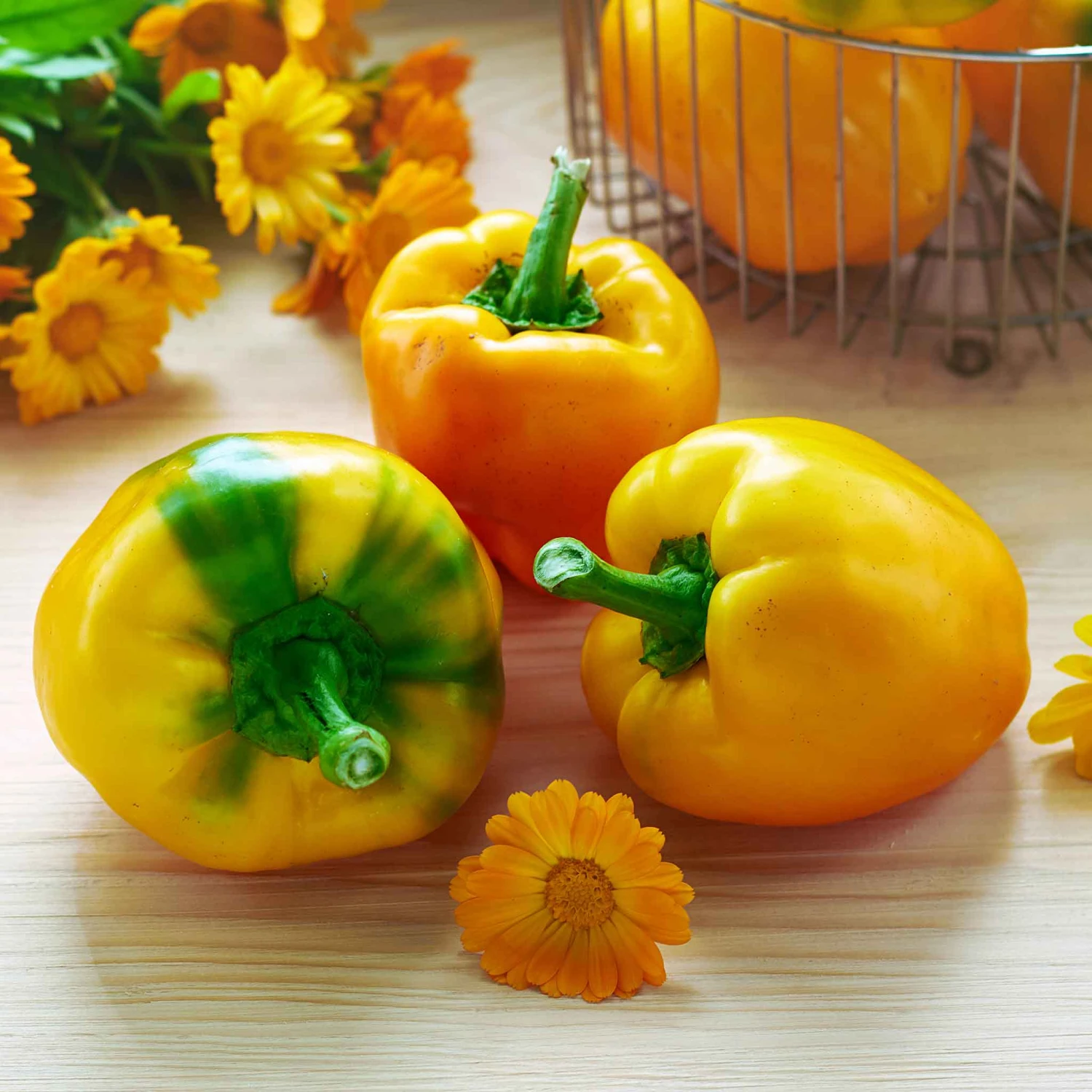 Canary Bell Sweet Pepper Seeds - Premium Heirloom Yellow Peppers 1 Canary Bell Sweet Pepper Seeds - Premium Heirloom Yellow Peppers
