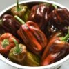Sweet Pepper Seeds - Candy Cane Chocolate Cherry