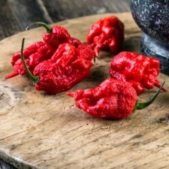 Hot Pepper Seeds - Carolina Reaper -Eden Brothers Shop pepper carolina reaper shk 4