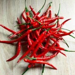 Eden Brothers Shop -Eden Brothers Shop pepper cayenne long thin red shk 2