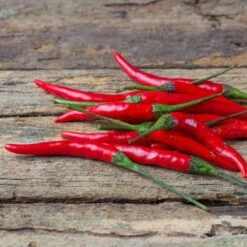 Chile de Arbol Pepper Seeds - Heirloom Hot Mexican Chili for Gardening