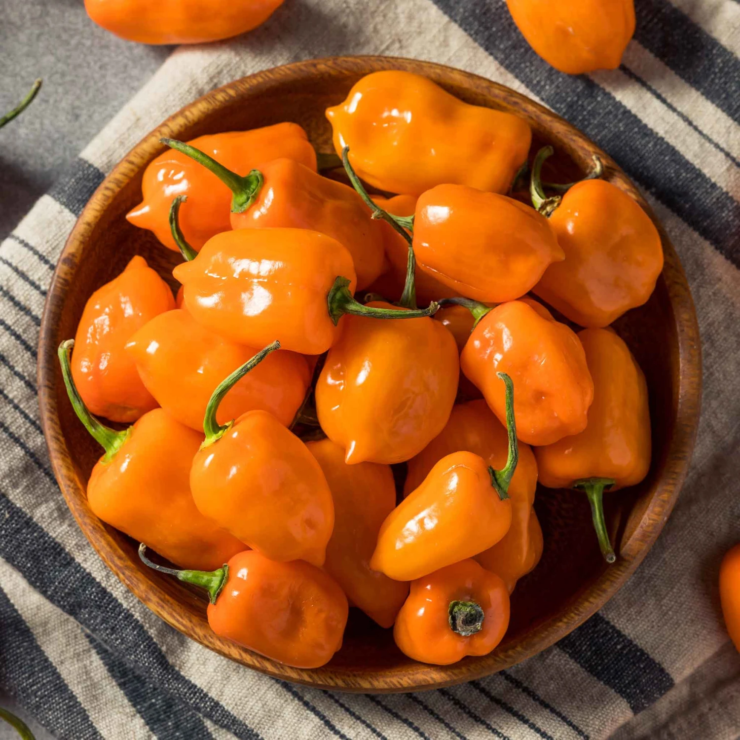 Orange Habanero Hot Pepper Seeds - Extreme Heirloom Heat (100k-300k SHU) 1 Orange Habanero Hot Pepper Seeds - Extreme Heirloom Heat (100k-300k SHU)