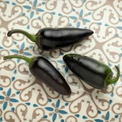Purple Jalapeno Seeds - Heirloom Hot Pepper for Garden & Patio