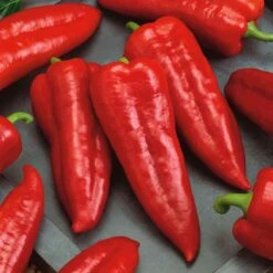 Marconi Red Sweet Pepper Seeds - Premium Heirloom Italian Variety