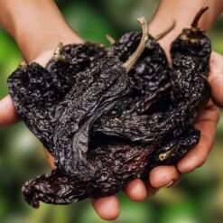 Eden Brothers Shop -Eden Brothers Shop pepper mulato isleno shk 2