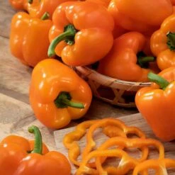 Orange King Sweet Pepper Seeds - Large, Thick-Skinned Bell Pepper Variety