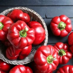 Heirloom Pimento Pepper Seeds - Mild and Sweet Cherry Peppers for Gardening